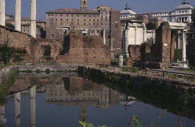 Gesamtansicht des Forums von Roman